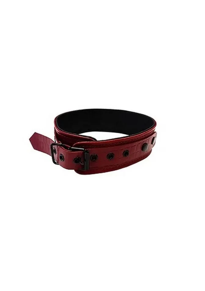 Rouge Rouge Anaconda Leather Adjustable Collar 1 Ring Male Sex Toys